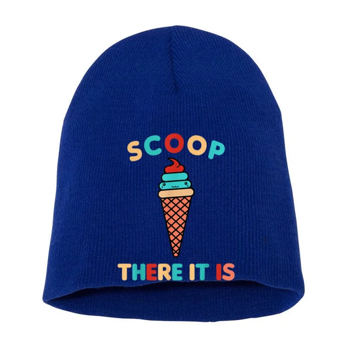 Scoop There It Is Tag Team Funny Ice Cream Pun Sweet Tooth Gift Short Acrylic Beanie