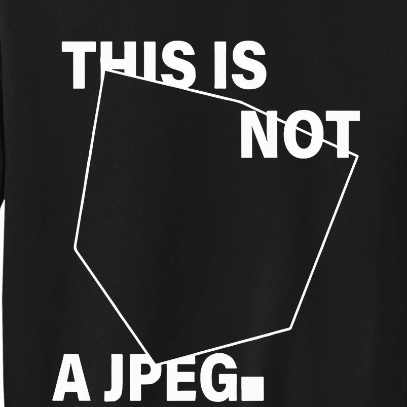 .Swoosh This Is Not A Jpeg Sweatshirt