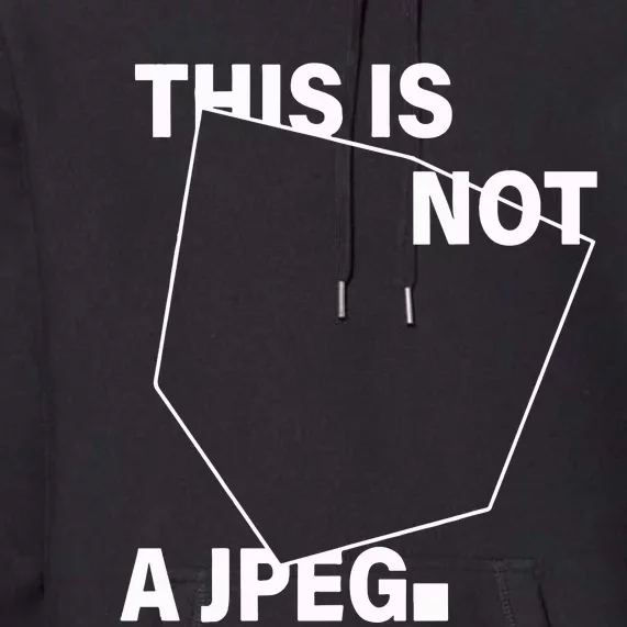 .Swoosh This Is Not A Jpeg Premium Hoodie