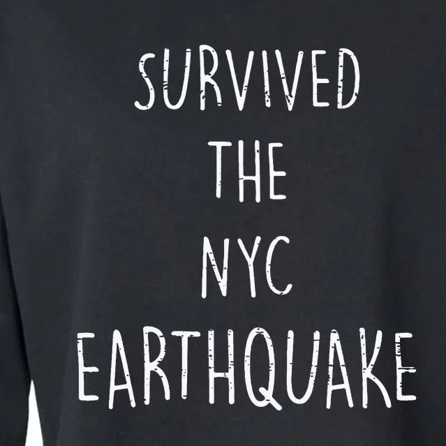 Survived The Nyc Earthquake April 5th 2024 Funny Trendy Meme Cropped Pullover Crew