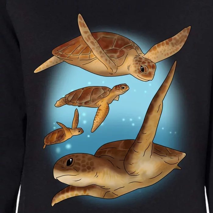 Sea Turtle Ocean Skip A Straw Save A Turtle Gift Womens California Wash Sweatshirt