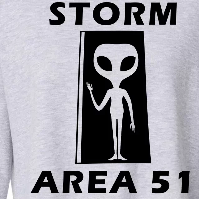 Storm Area 51 Cropped Pullover Crew