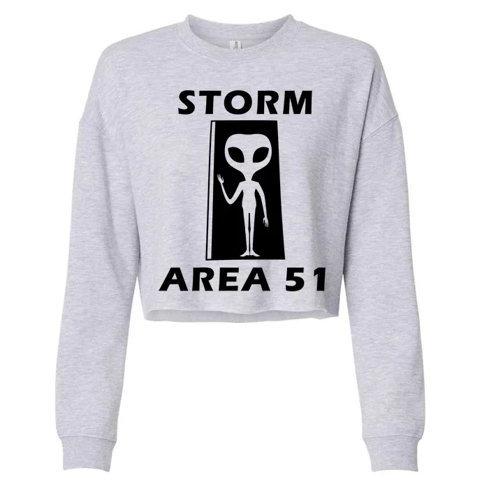 Storm Area 51 Cropped Pullover Crew