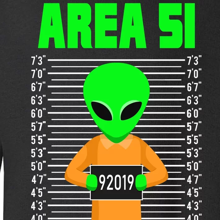 Storm Area 51 Alien Escapee Toddler Sweatshirt