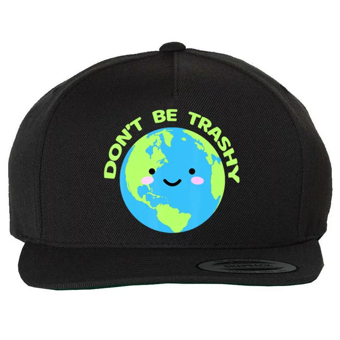 Save The Planet Dont Be Trashy Meaningful Gift Wool Snapback Cap