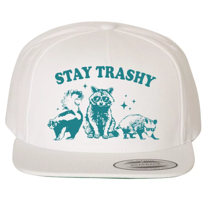 Stay Trashy Raccoon Opossum Skunk Gift Wool Snapback Cap