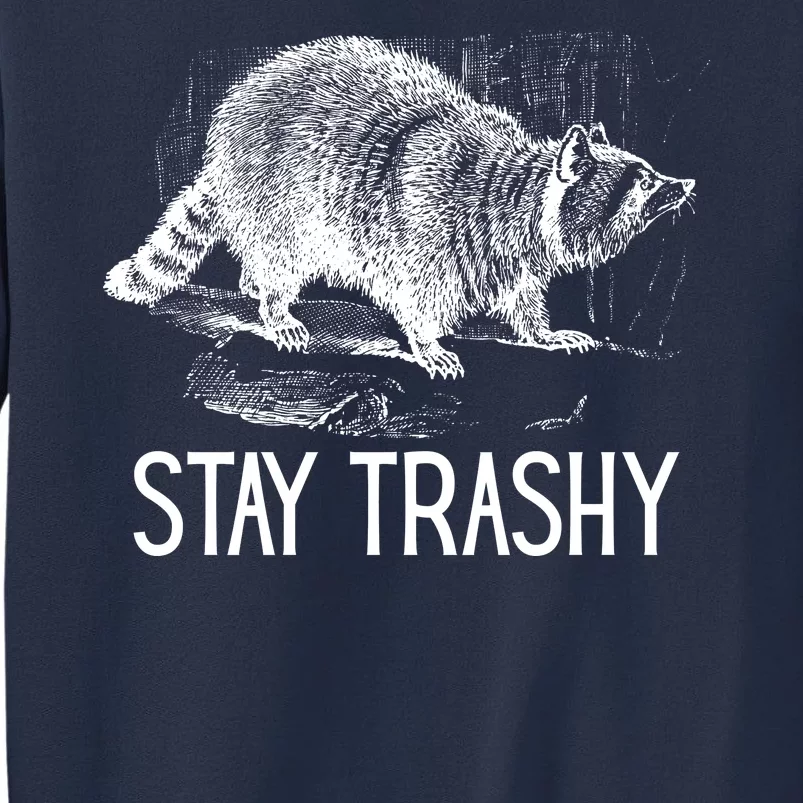 Stay Trashy Raccoon Funny Meme Sweatshirt