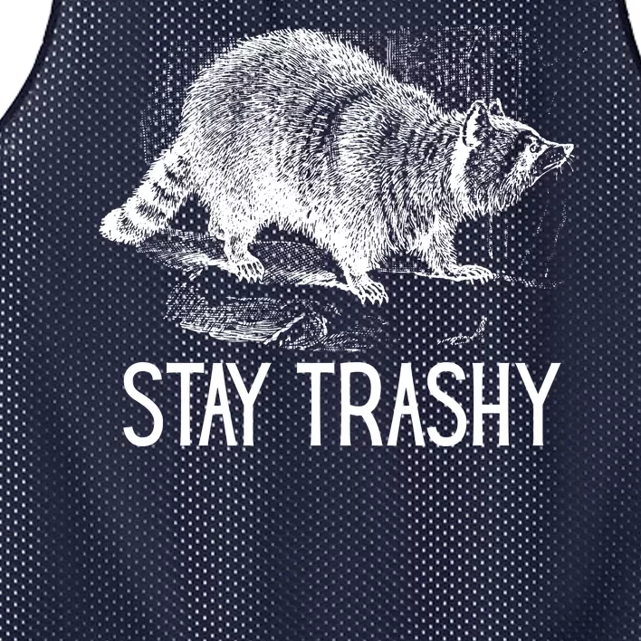 Stay Trashy Raccoon Funny Meme Mesh Reversible Basketball Jersey Tank