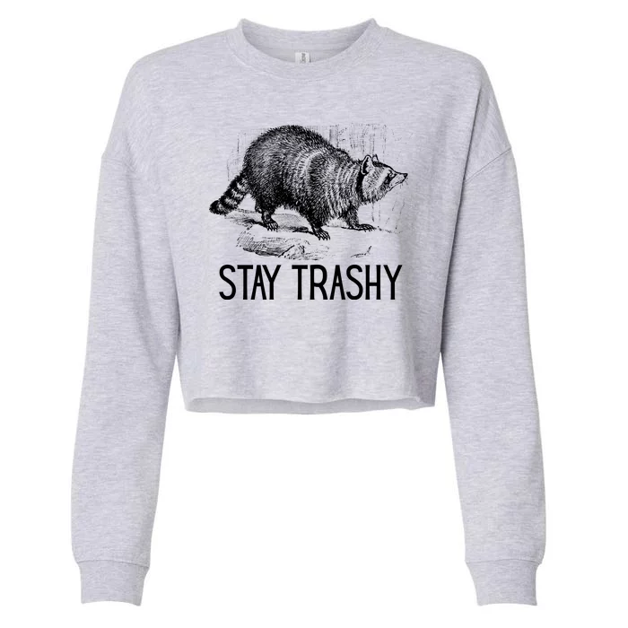 Stay Trashy Raccoon Funny Meme Cropped Pullover Crew