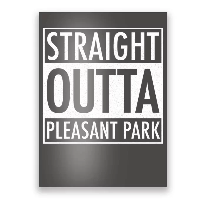 Straight Outta Pleasant Park Poster