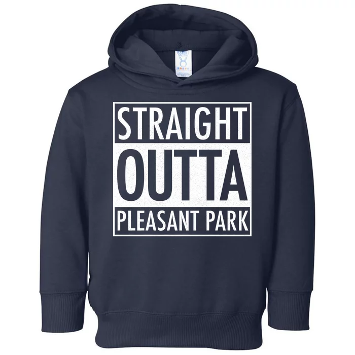 Straight Outta Pleasant Park Toddler Hoodie