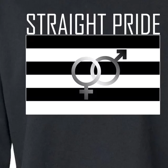 Straight Pride Cropped Pullover Crew