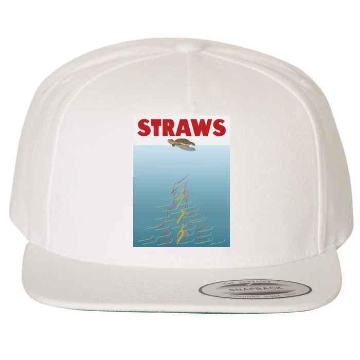 Straws Suck End Plastic Pollution Wool Snapback Cap