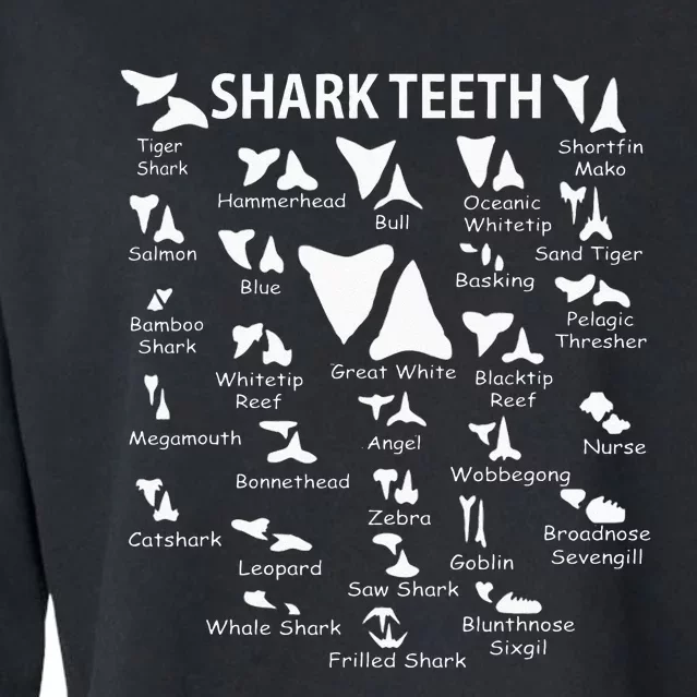 Shark Th Shark Learning Gifts For Kids Cropped Pullover Crew