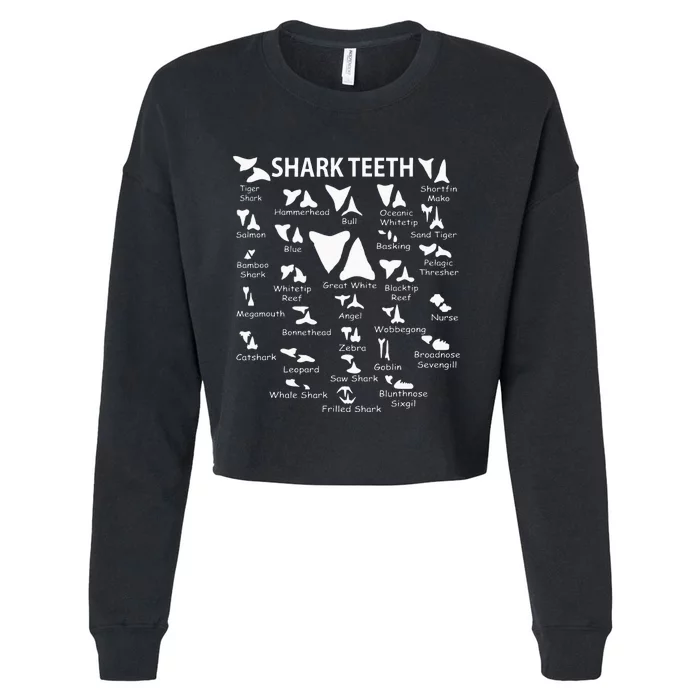 Shark Th Shark Learning Gifts For Kids Cropped Pullover Crew