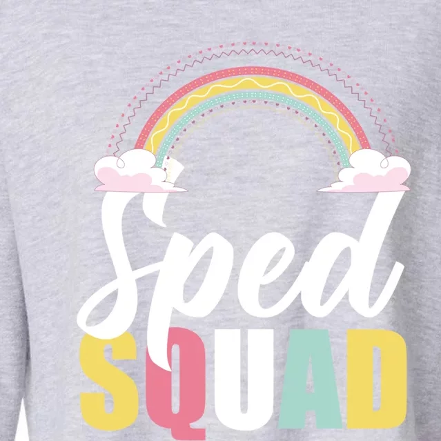 Sped Teacher Sped Squad Rainbow Special Education Teacher Gift Cropped Pullover Crew