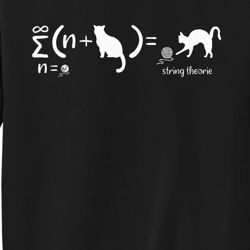 String Theory Science Nerd Physics Cat Tall Sweatshirt