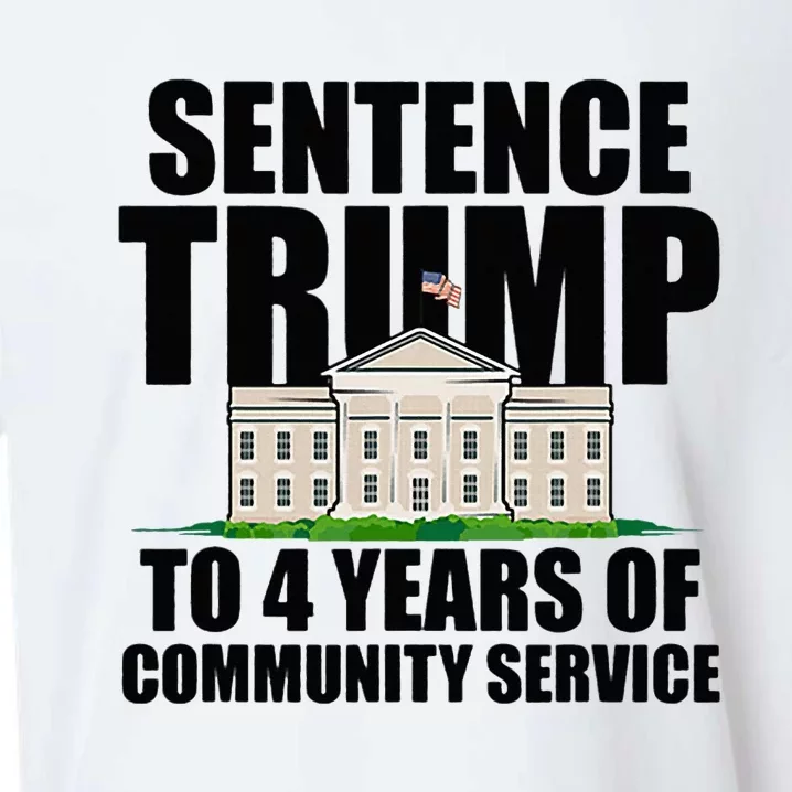 Sentence Trump To 4 Years Of Community Service Sueded Cloud Jersey T-Shirt