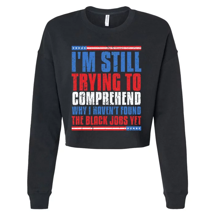 Still Trying To Comprehend Why I HavenT Found Black Jobs Cropped Pullover Crew