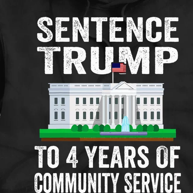 Sentence Trump To 4 Years Of Community Service Political Tie Dye Hoodie