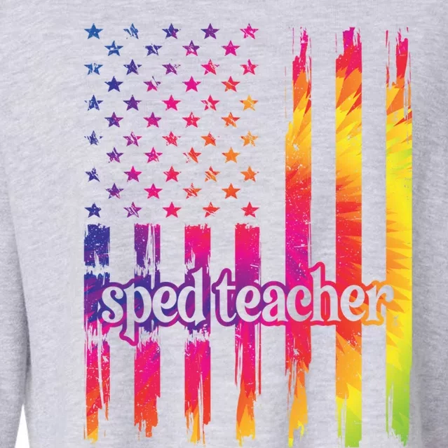 Sped Teacher Us Flag Special Education Teacher Gift Cropped Pullover Crew