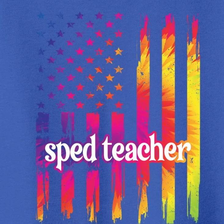 Sped Teacher Us Flag Special Education Teacher Gift Toddler T-Shirt