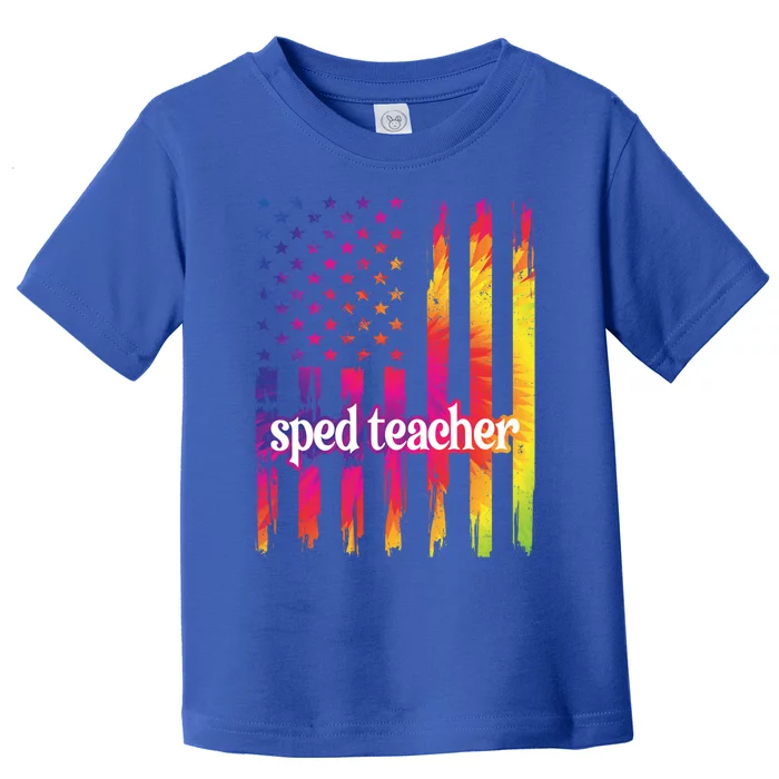 Sped Teacher Us Flag Special Education Teacher Gift Toddler T-Shirt