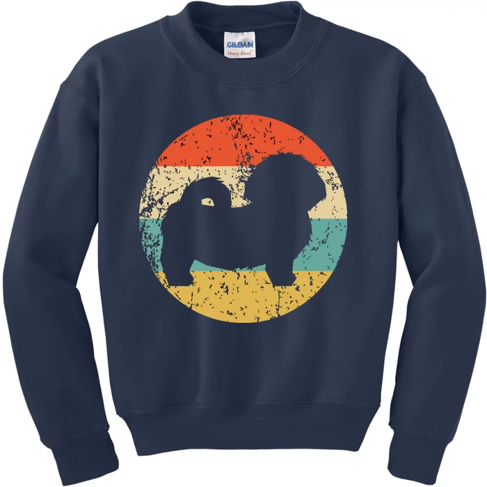 Shih Tzu Vintage Retro Shih Tzu Dog Kids Sweatshirt