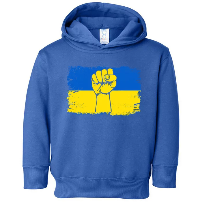 Support Ukraine Flag I Stand With Ukraine Gift Toddler Hoodie