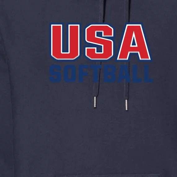 Softball USA I Love Softball Premium Hoodie