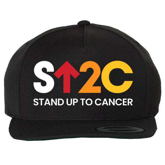 Stand. Up To Cancer Funny Cancer Awareness Wool Snapback Cap