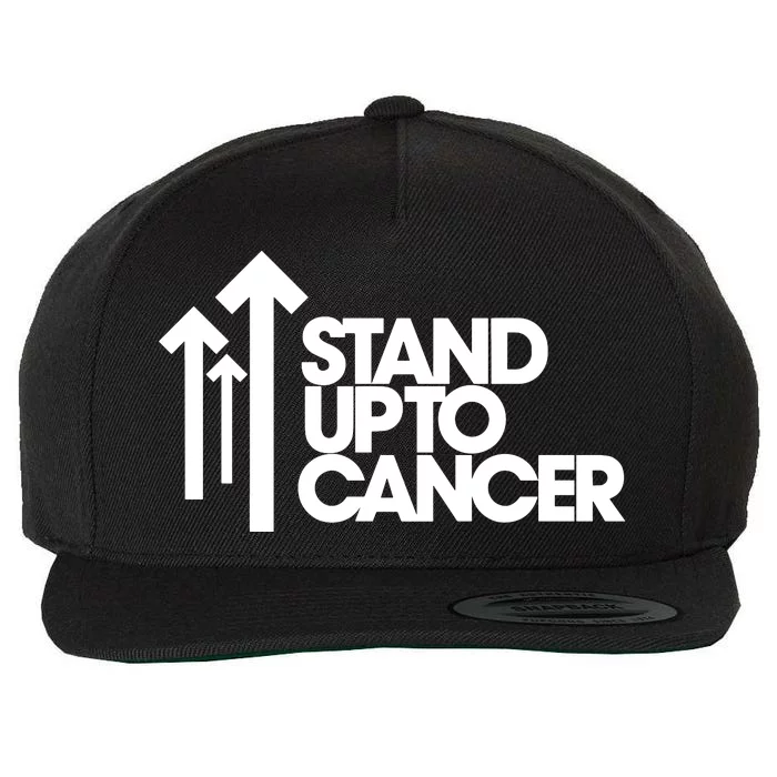 Stand. Up To Cancer Funny Cancer Awareness Wool Snapback Cap