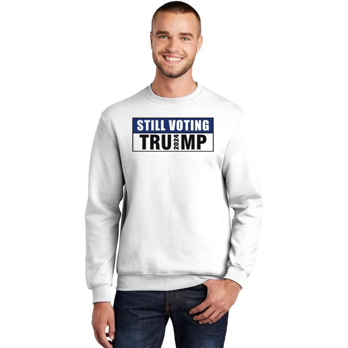 Still Voting 2024 Political Support Graphic Sweatshirt