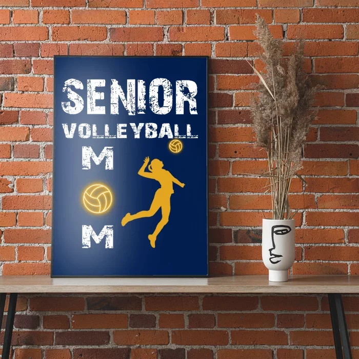 Senior Volleyball Mom Gift Poster