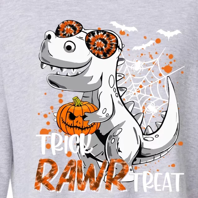 Scary Witch Dinosaur Trick Rawr Treat Pumpkin Cute Halloween Gift Cropped Pullover Crew