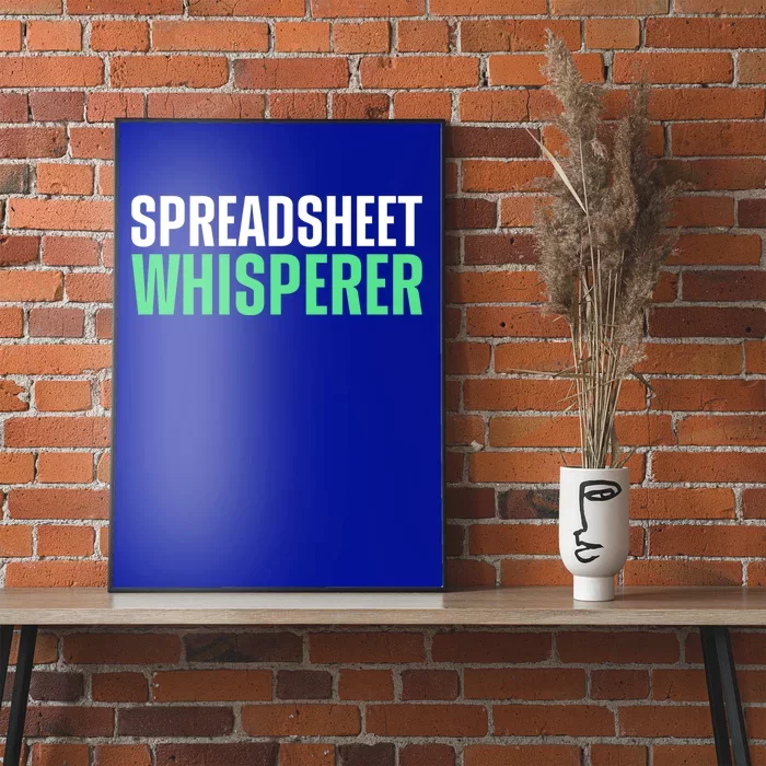 Spreadsheet Whisperer Expert Financial Advisor Gift Poster