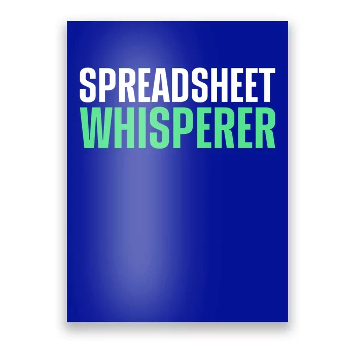 Spreadsheet Whisperer Expert Financial Advisor Gift Poster