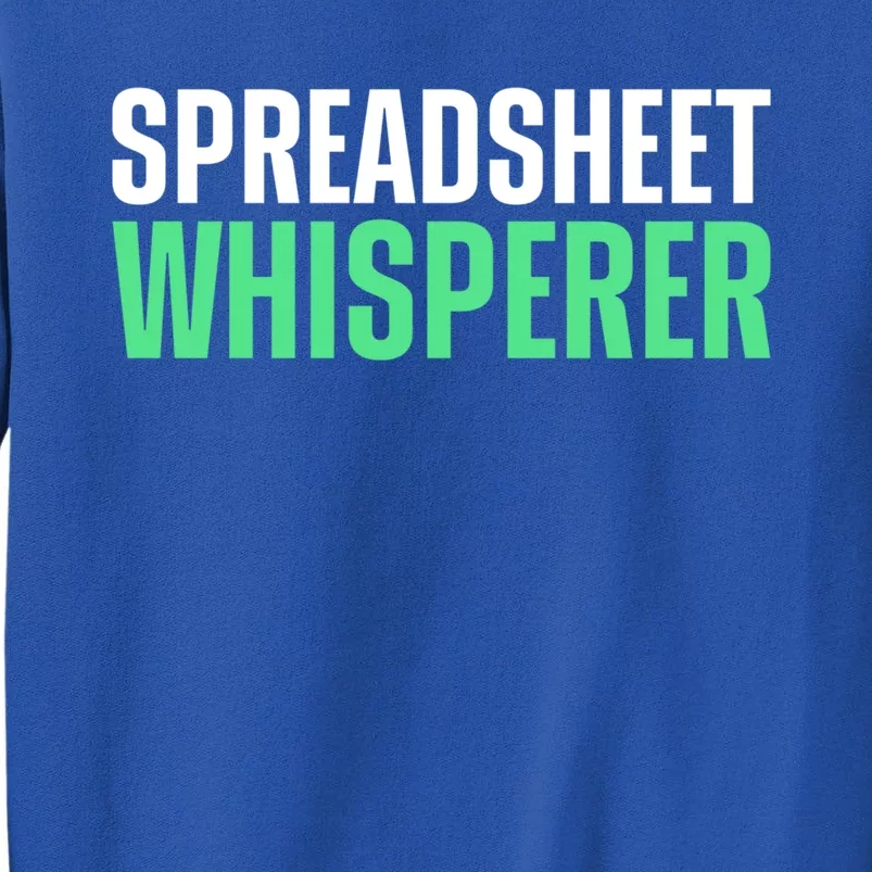 Spreadsheet Whisperer Expert Financial Advisor Gift Tall Sweatshirt