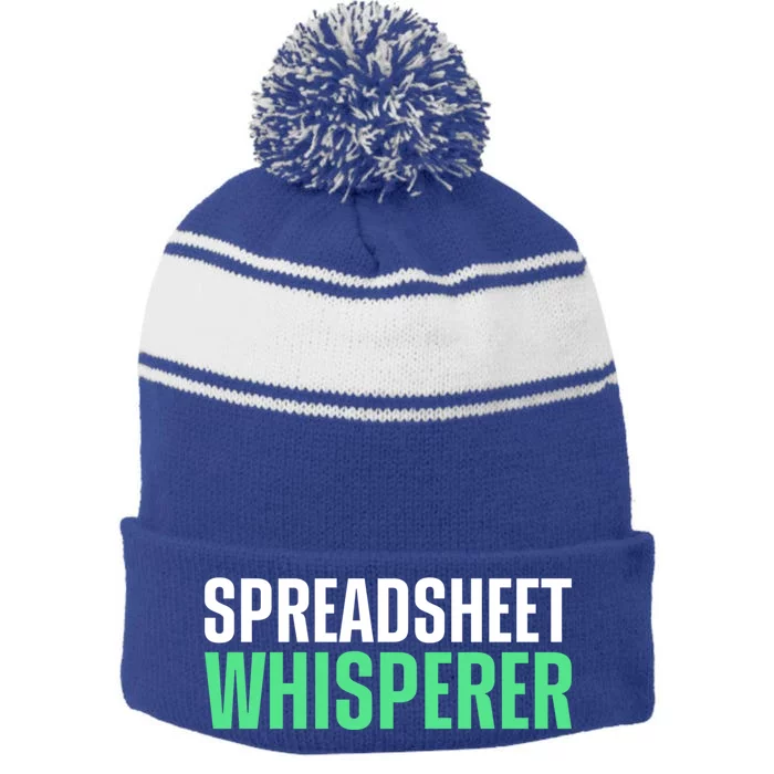 Spreadsheet Whisperer Expert Financial Advisor Gift Stripe Pom Pom Beanie