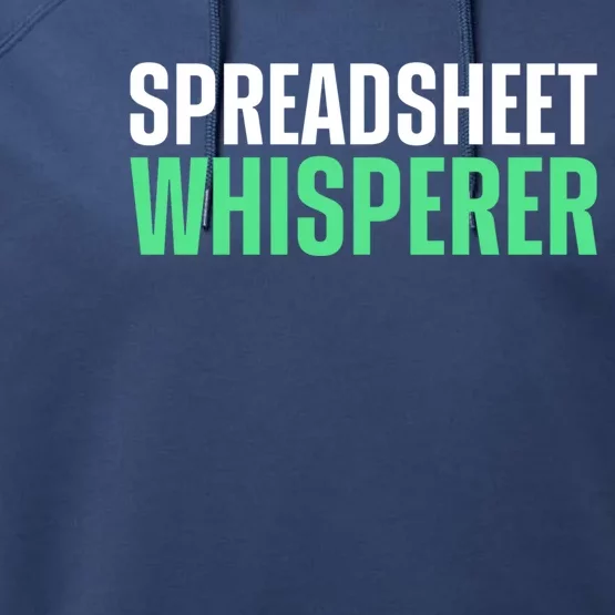 Spreadsheet Whisperer Expert Financial Advisor Gift Performance Fleece Hoodie