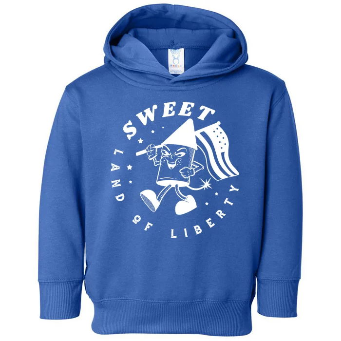 Sweet Land Of Liberty Firework Toddler Hoodie