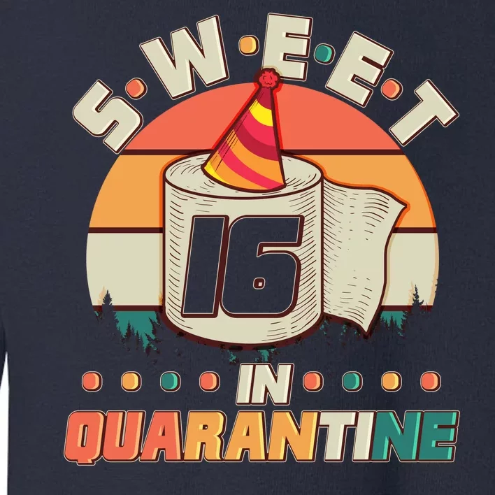 Sweet Sixteen In Quarantine Toddler Sweatshirt