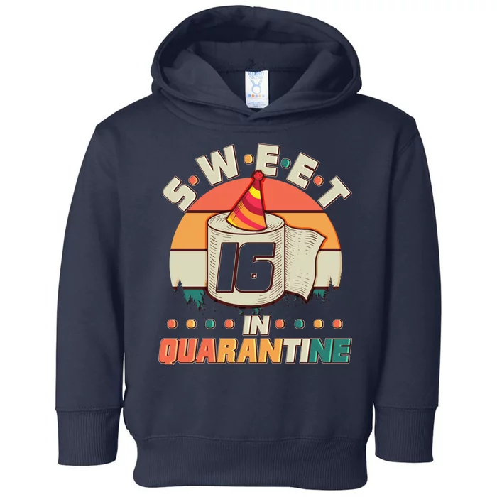 Sweet Sixteen In Quarantine Toddler Hoodie