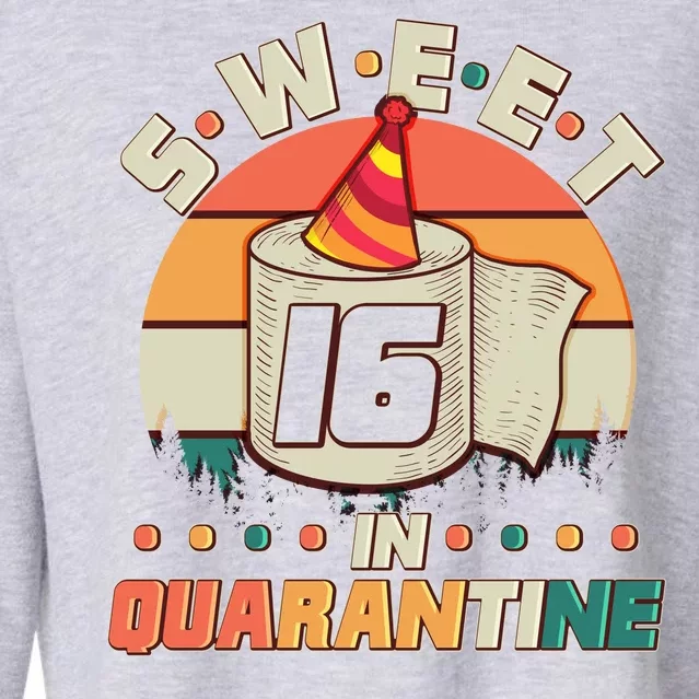 Sweet Sixteen In Quarantine Cropped Pullover Crew