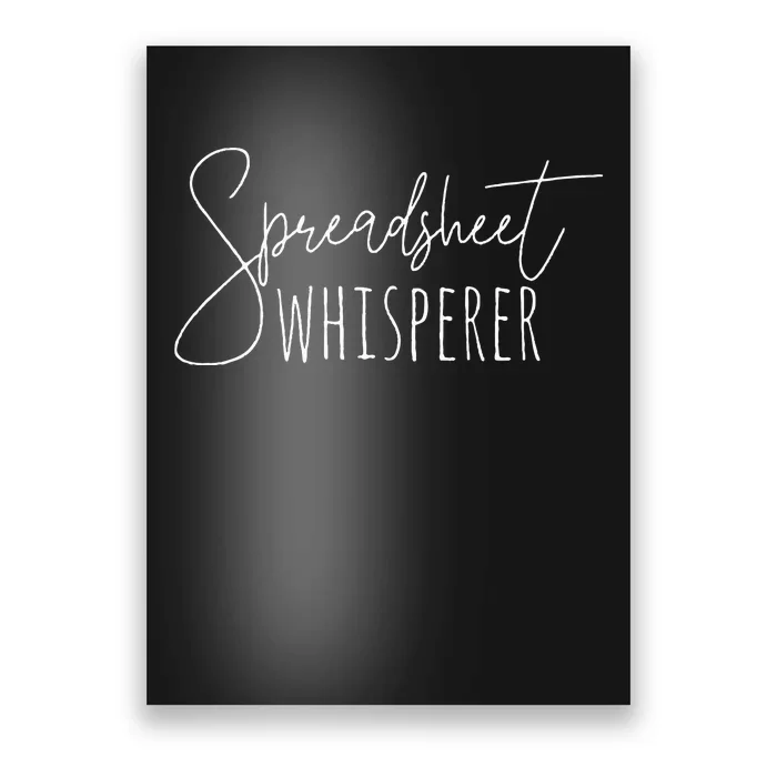 Spreadsheet Whisperer Funny Accounting Poster