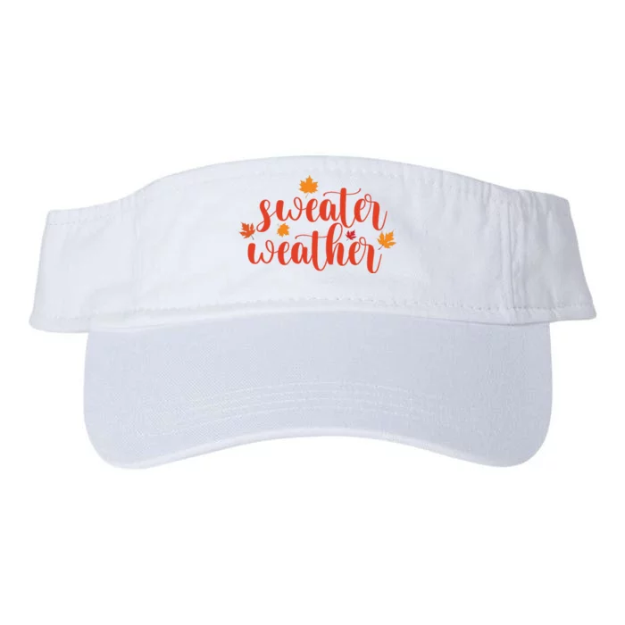 Sweater Weather Valucap Bio-Washed Visor