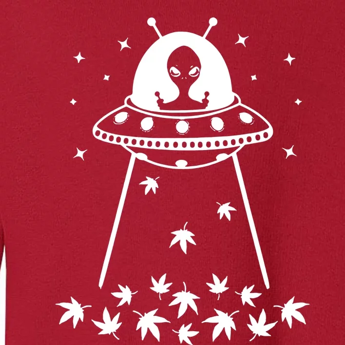 Space Weed Toddler Sweatshirt