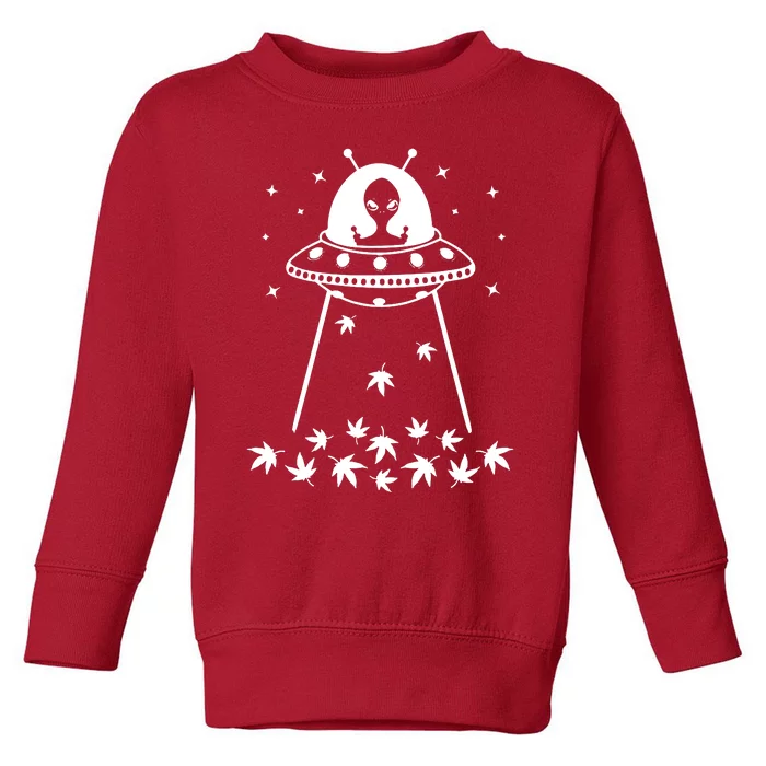 Space Weed Toddler Sweatshirt