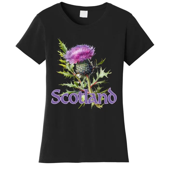 Scotland Watercolor Thistle Women's T-Shirt