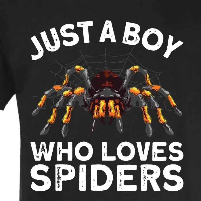 Spider Web Tarancute Spider For Boyspider Web Tarancute Spider Garment-Dyed Heavyweight T-Shirt